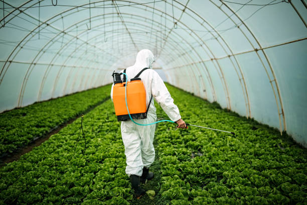 Best Best Pest Control Companies  in Barnesville, GA