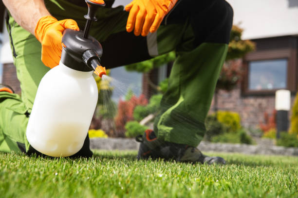 Reliable Barnesville, GA Pest Control Solutions