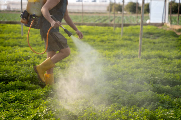 Pest Prevention Services in Barnesville, GA